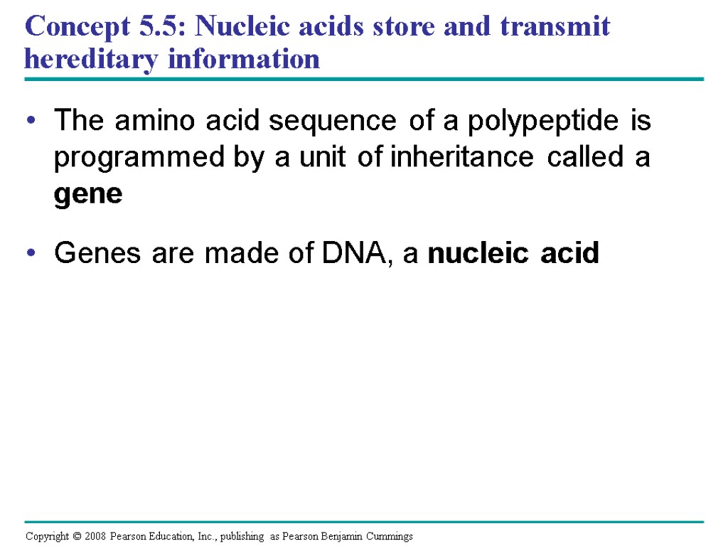 Concept 5.5: Nucleic acids store and transmit hereditary information The amino acid sequence of